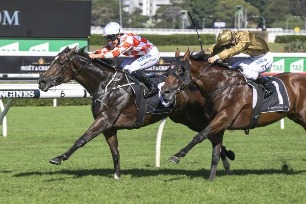 Ashburton whisper is for Rae pair