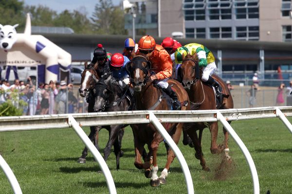 Vance hoping for another Royal Performance