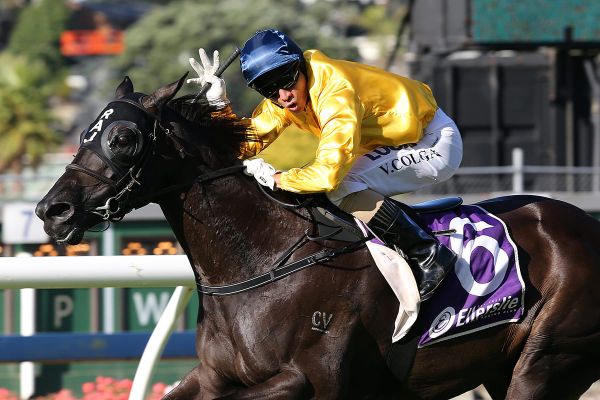 Opportunity to tap into Valachi Downs’ success ends Friday