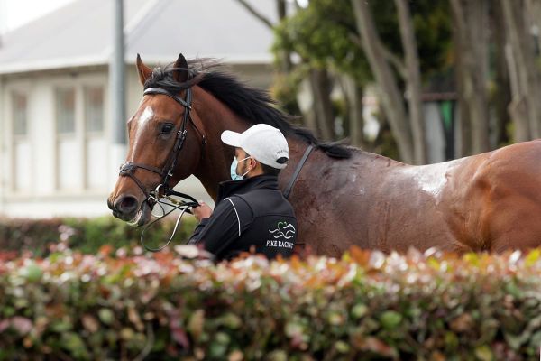 Newnham hoping for luck of the Irish