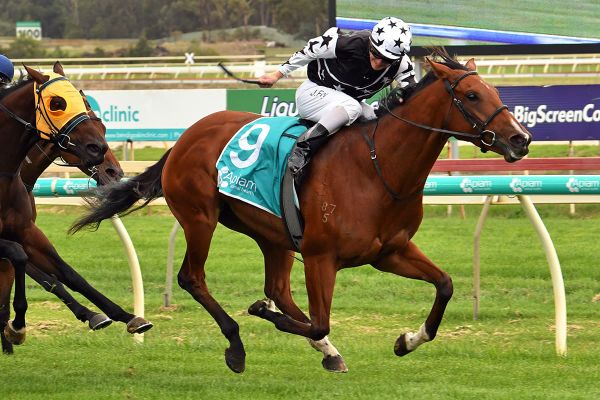 The Stylist too slick for her rivals