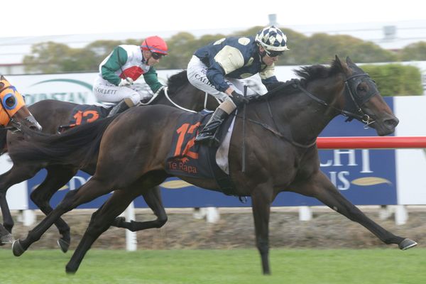 Tokorangi to step out at Flemington