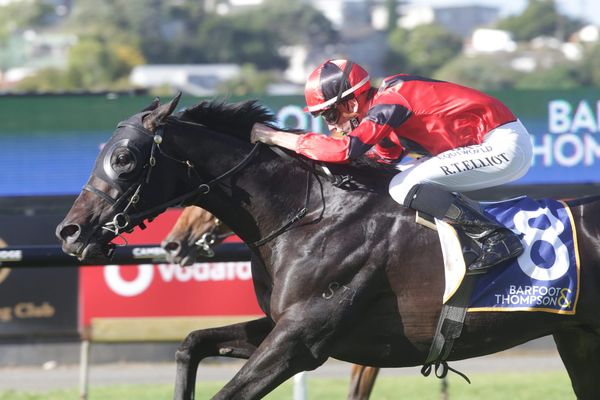 Underdog tag no concern for Cole