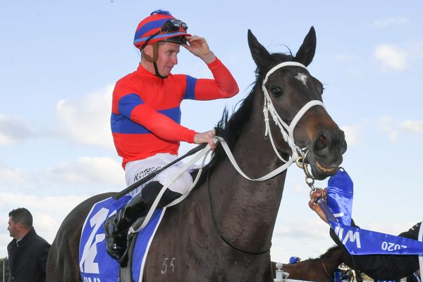 McDonald delighted with star mare