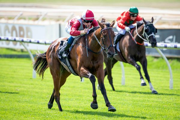 Western Empire on track for WA Derby