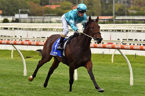 Easy Caulfield win for Annavisto