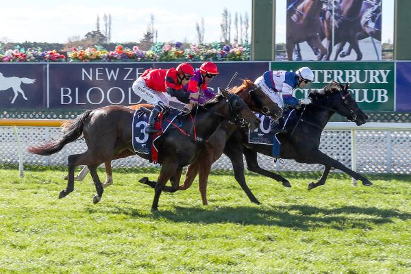 First Southern Hemisphere winner for Vadamos