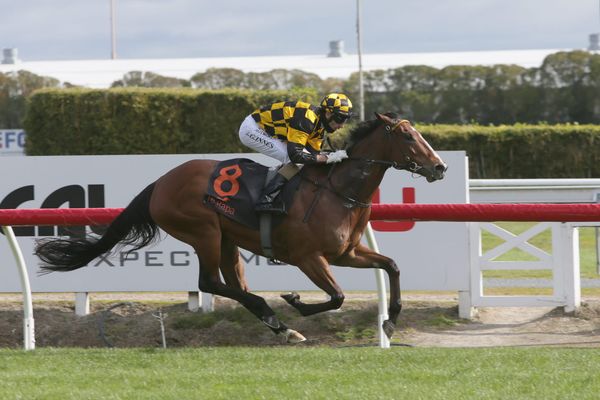 Hit and run Sydney raid for Bavella