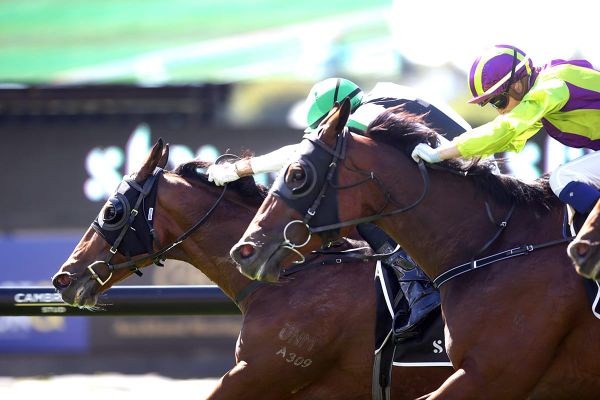 Pike keen on stakes assignment for Sacred Option