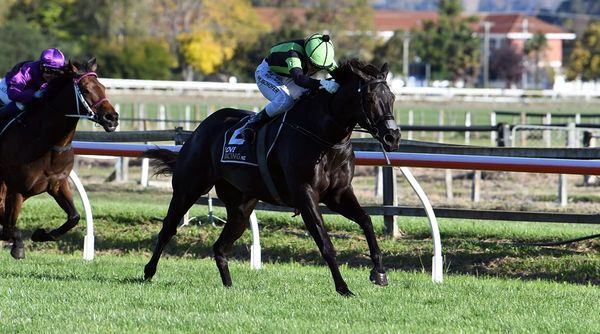 Emotional win for Big Mike in Hawke’s Bay Cup