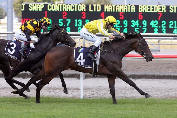 Bonny Lass primed for Group One