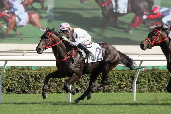 Moreira heaps praise on unbeaten Courier Wonder