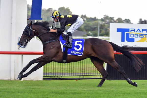 Favreau on song for Derby