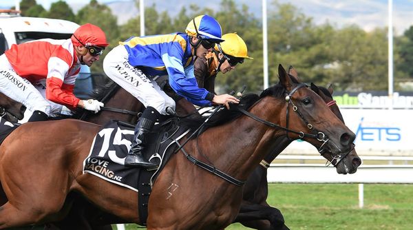 Late burst carries Joy Alone to Classic victory