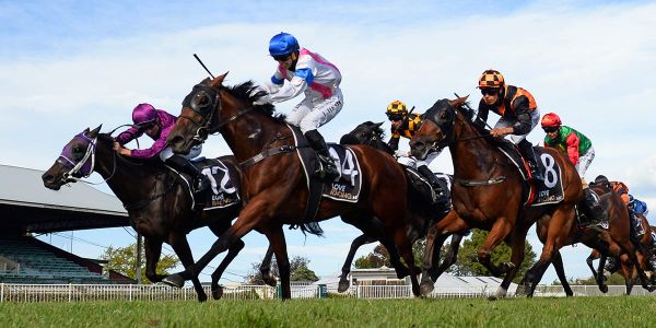 Wide draw only negative to Nickalls SA experience