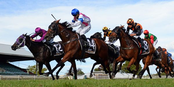 AUDIO: Stephen Nickalls