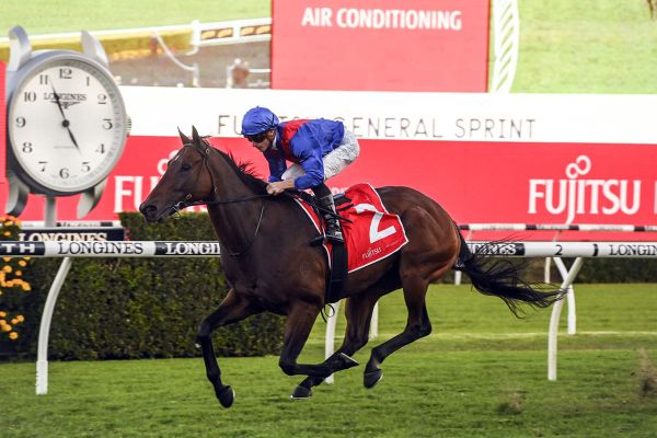 Lost And Running shooting for the stars