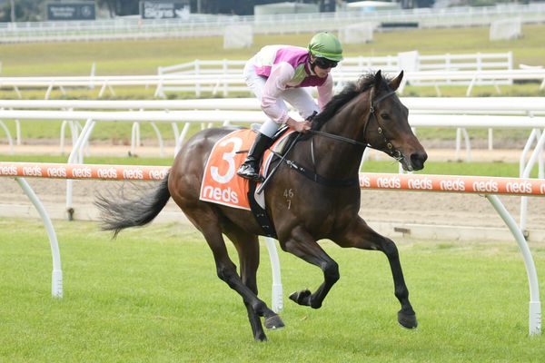 Bright staying future for Mongolian Khan 3YO