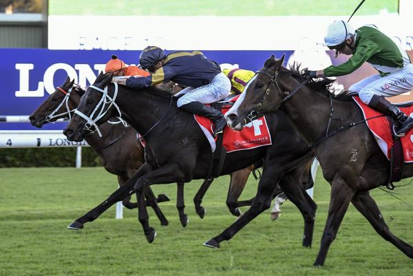 Timely Sydney Group Three win for Matchmaker