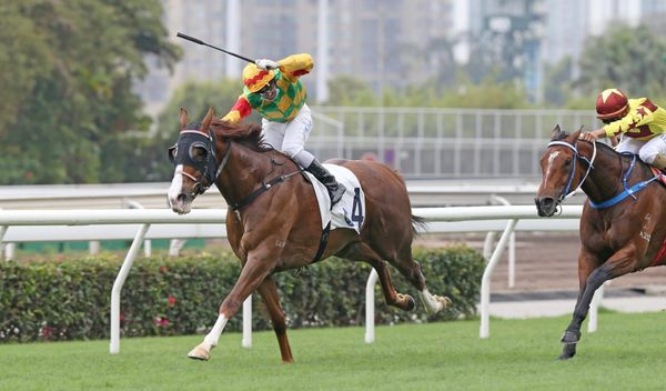 Mighty Giant ready for dirt test