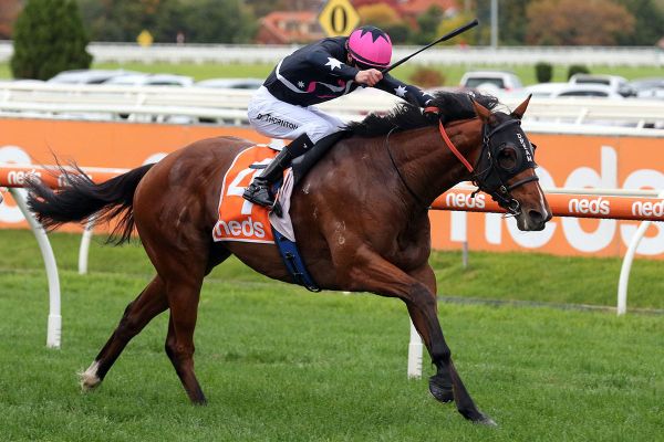 Winning roll continues for Open Minded