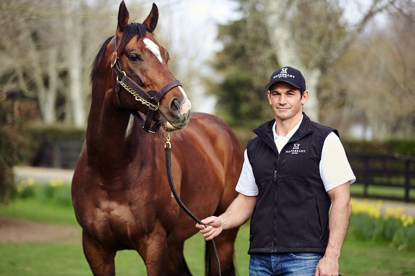 Davison looking forward to Karaka 