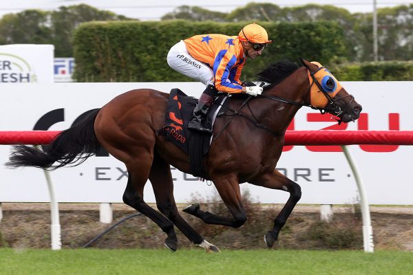 Sword Of State misses trial