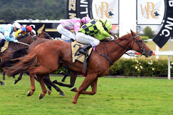 Davies holds strong hand in Poverty Bay Cup