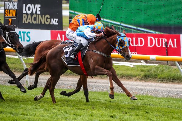 Burgeoning rivalry set to continue at Riccarton