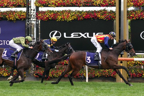 Through Irish Eyes heads New Zealand-bred trifecta in VRC St Leger