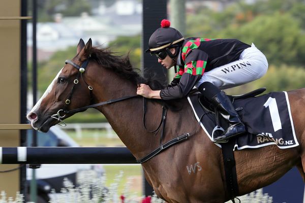 Queensland campaign for Tiptronic