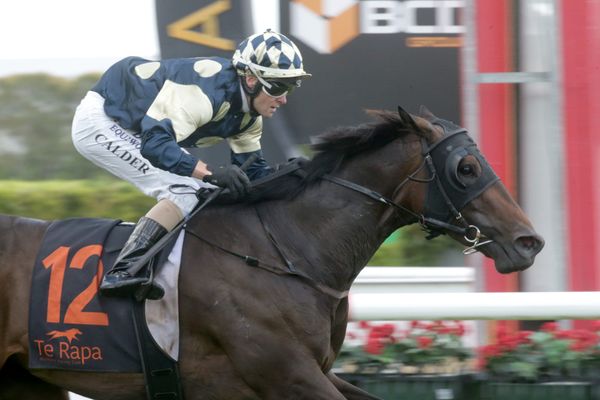 Tokorangi ready for Oaks tilt
