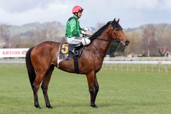 Turn The Ace a sentimental favourite for Baker