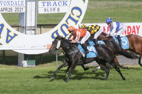 Verstappen motors to victory on debut