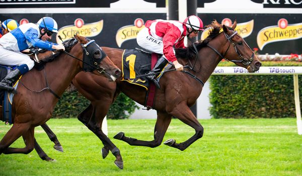 Western Empire reigns supreme in WATC Derby