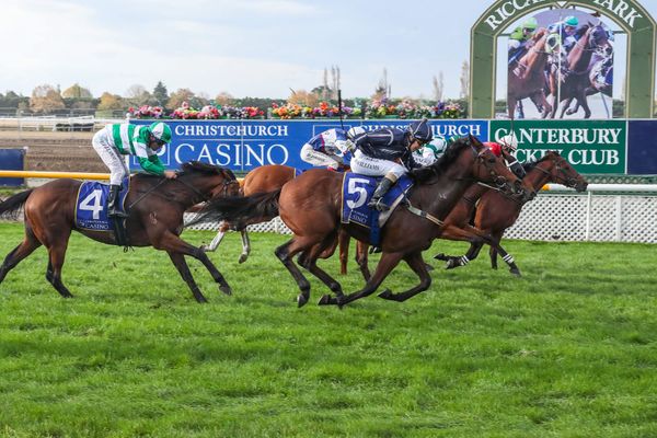 Whale Song comes of age with Easter Cup victory