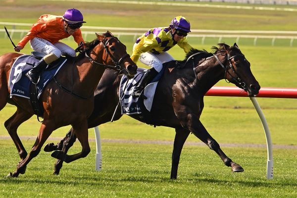 Altai Ranger leads throughout in Sandown win