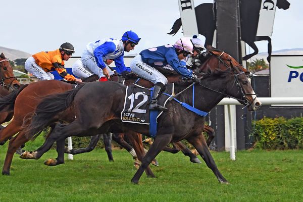 First NZ winner for Wrote