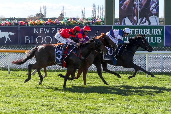 Home stakes targets for Carston pair