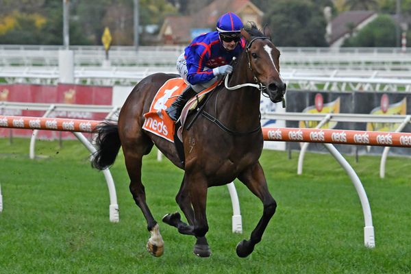 Unbeaten Ayrton in cruise control at Caulfield