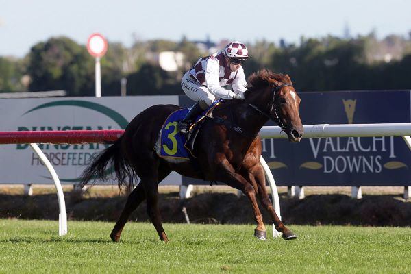 Babylon Berlin all class in three-year-old feature