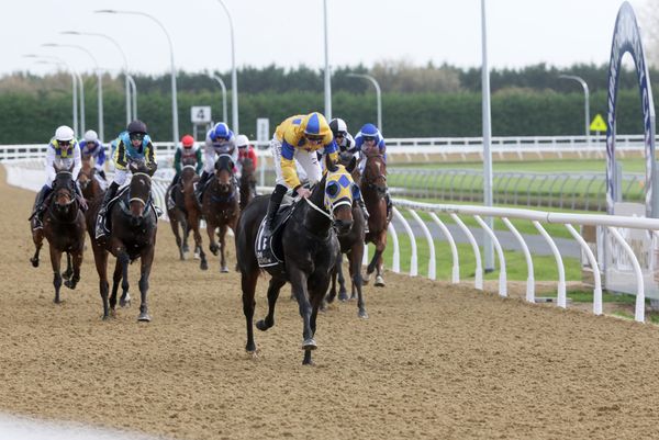 Father-and-son combine to win inaugural polytrack race