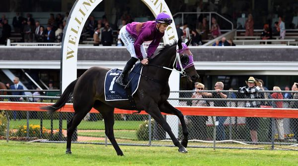 Australian adventure for Oaks runner-up