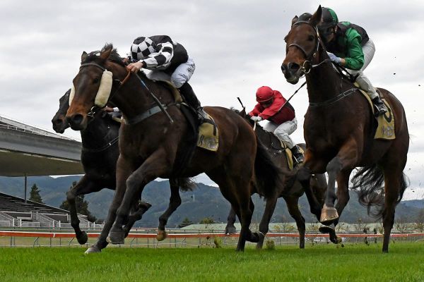 Collinstreet provides more good news for Sharrock