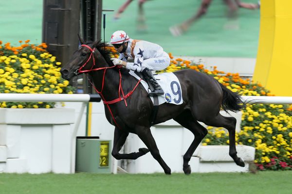 Sprint sensation Courier Wonder tunes up