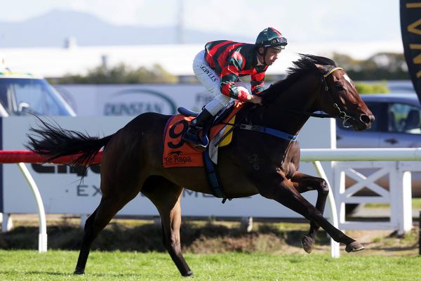 Raceday return imminent for Dragon Leap