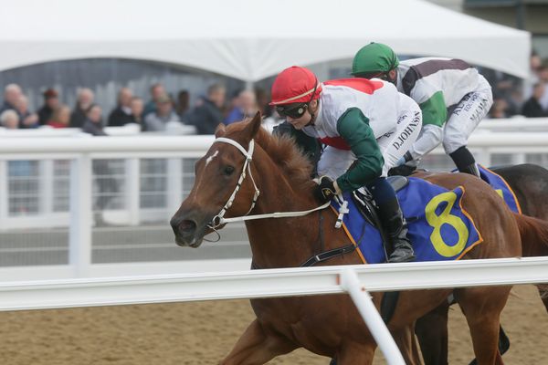 Marsh produces debut winner at Cambridge