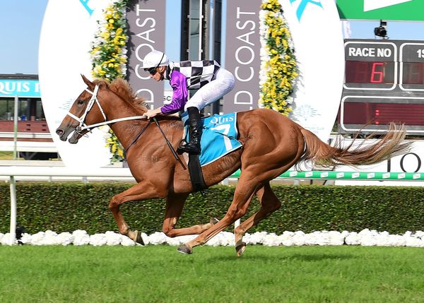 Bracelet trifecta for Waller