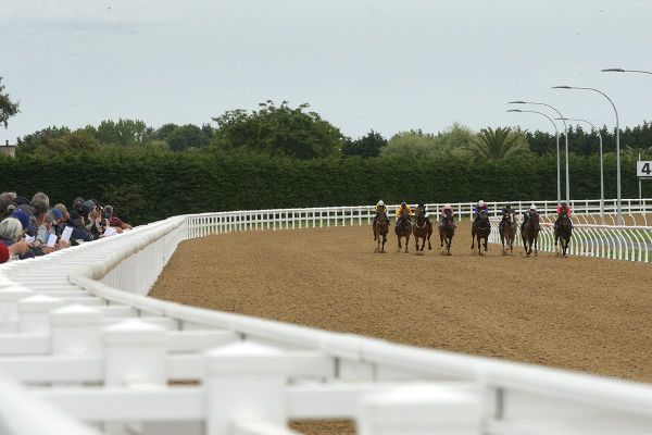 Cambridge Jockey Club ready to host first synthetic track meeting