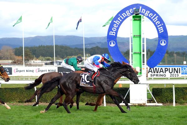 Herengawe makes New Zealand return